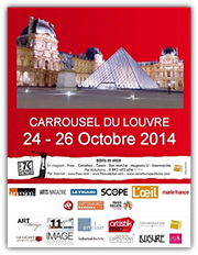 Carrousel du Louvre 2014